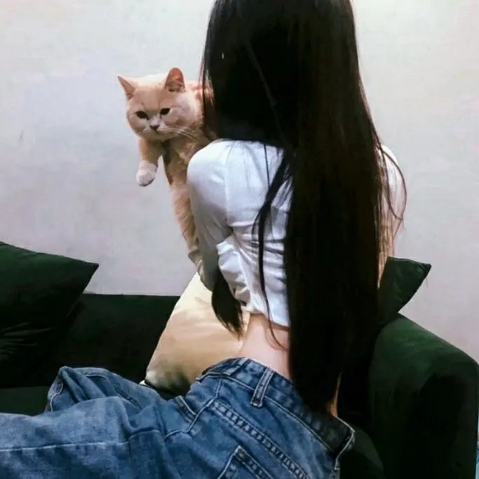双鱼陨石